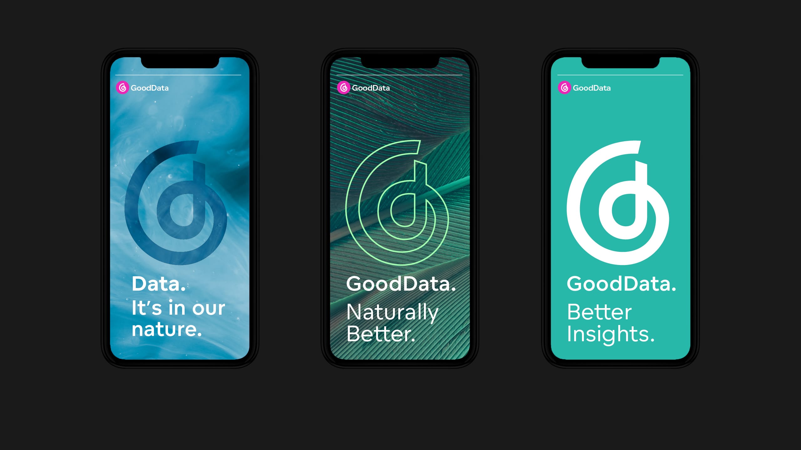GoodData Brand strategy, Visual identity, Website design