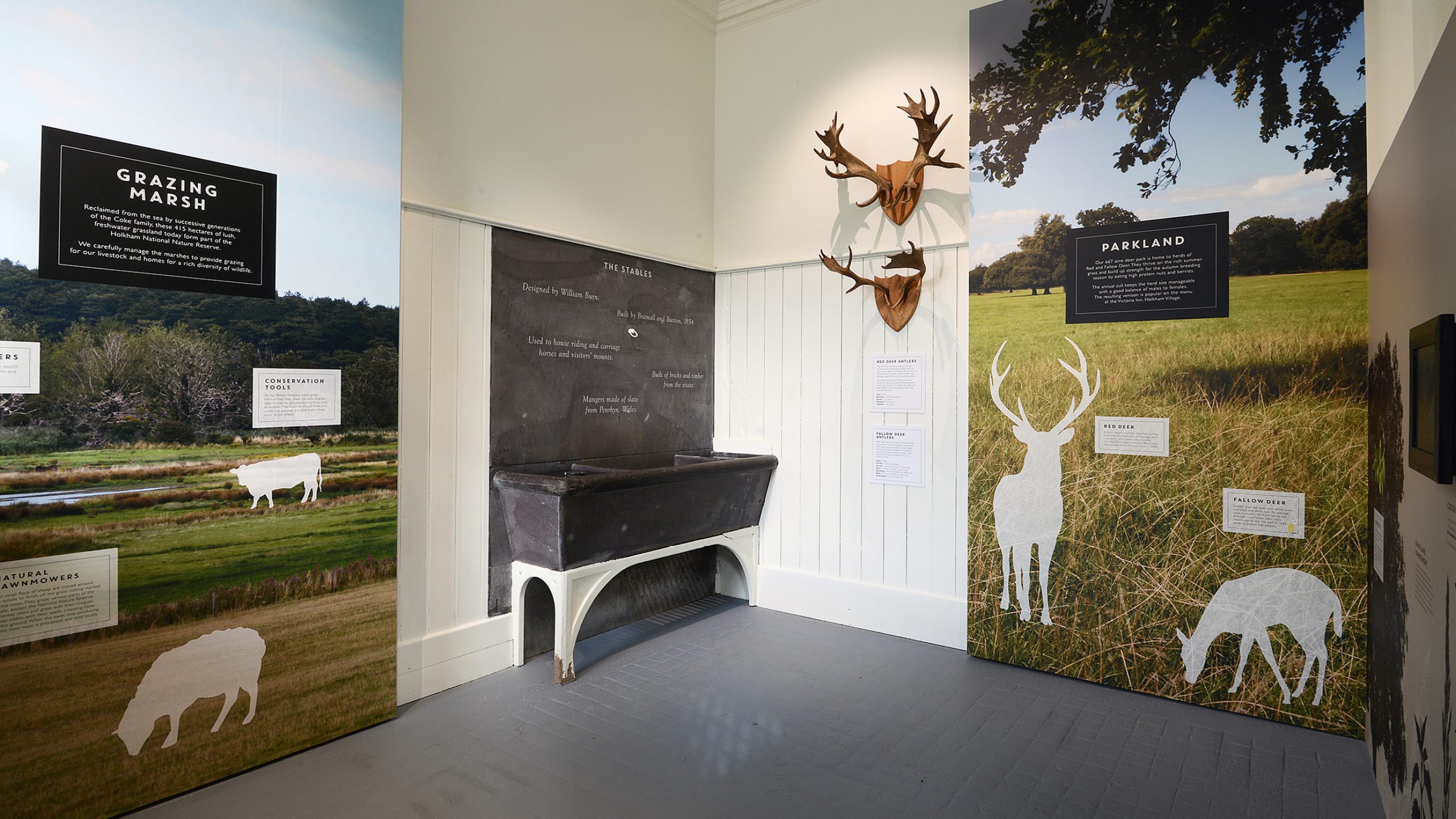 Holkham Estate Exhibitions and environments